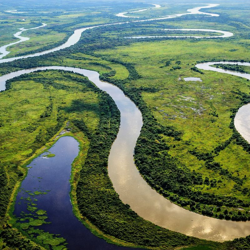 The Pantanal Ecosystem: Sustaining Nature and Communities